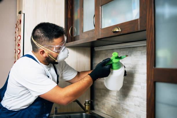  South Lake Tahoe, CA Pest Control Pros