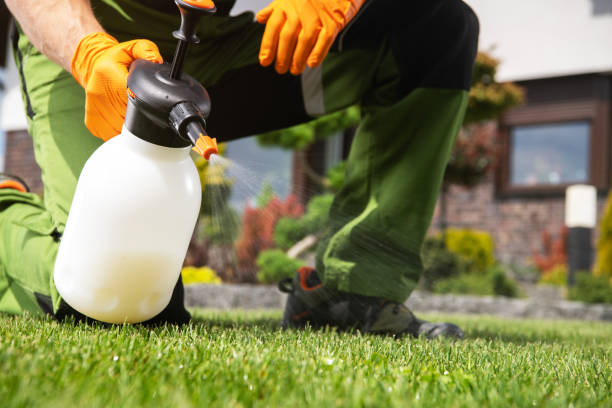 Best Residential Pest Control  in South Lake Tahoe, CA