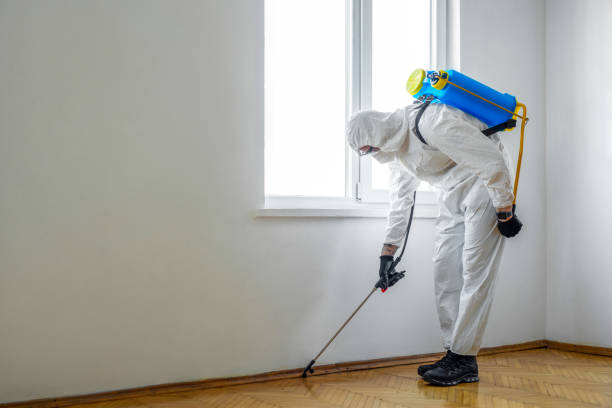 Best Best Pest Control Companies  in South Lake Tahoe, CA