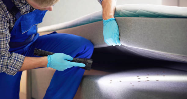Best Emergency Pest Control  in South Lake Tahoe, CA