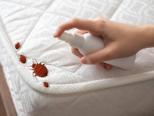 Best Pest Removal Services  in South Lake Tahoe, CA
