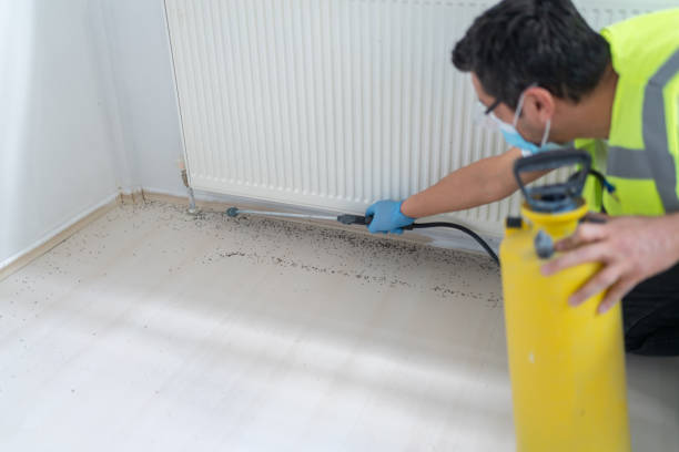 Best Bed Bug Extermination  in South Lake Tahoe, CA